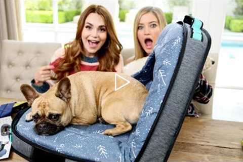 NEW Amazing Dog Travel Bed! 🐶 Unboxing with Rosanna!