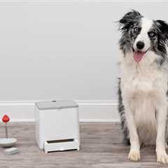 PetSafe Teach & Treat Remote Reward Trainer – Dog Behavior Training Device